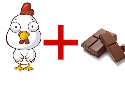 poulet-avec-chocolat